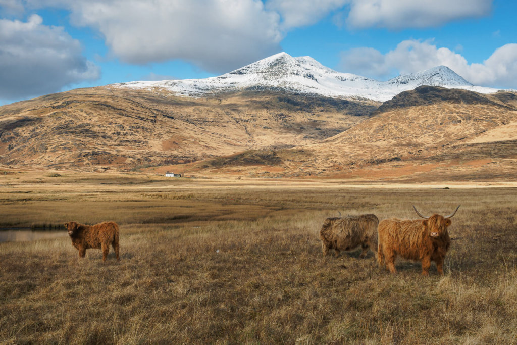 Ben More - Ben More and Burg, Isle of Mull