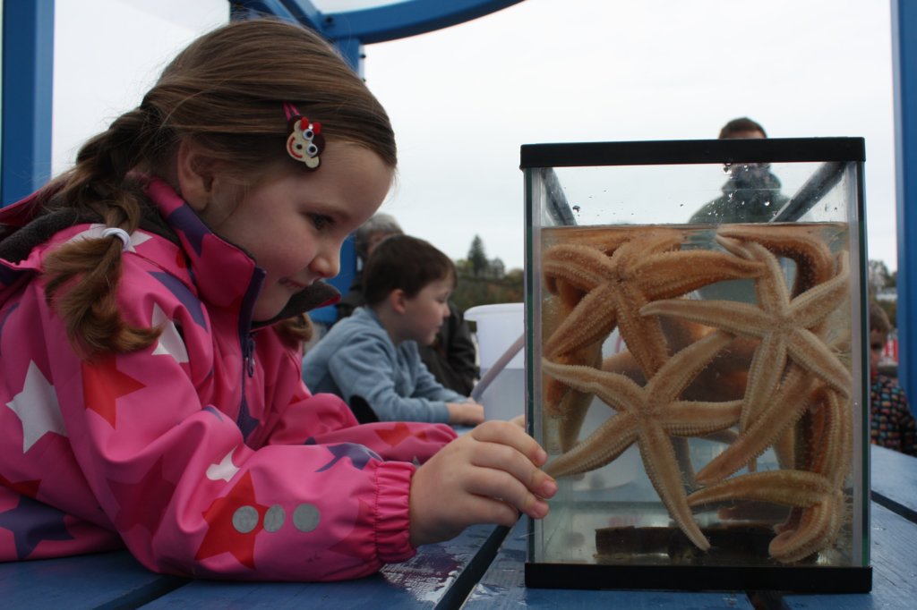 Mull Aquarium things to do with children on mull and iona