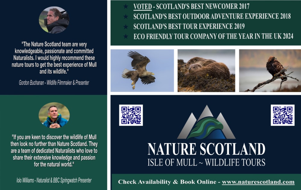 Mull, Mull Tours, Isle of Mull, Nature Tours,