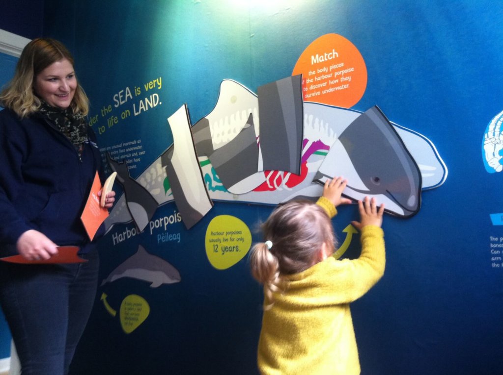 Hebdridean whale and dolphin trust escape room things to do with children on mull and iona