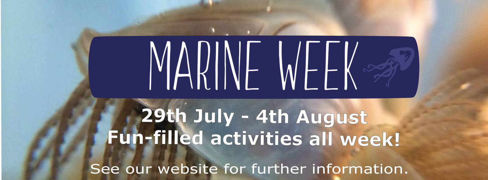 National Marine Week At Mull Aquarium Visit Mull And Iona