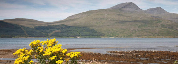 David McClay: From Lhasa to Tobermory