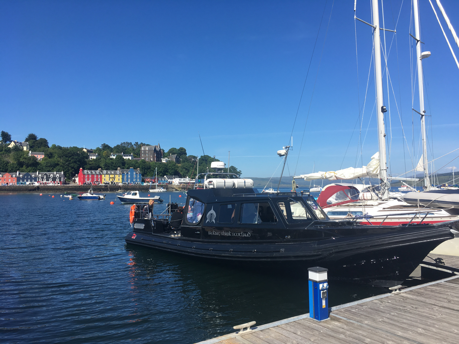 Staffa Tours | Visit Mull & Iona